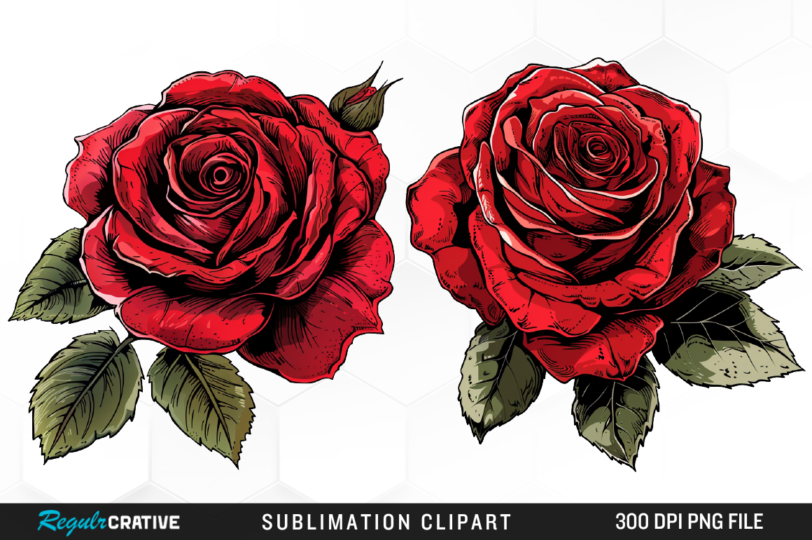 Watercolor Red Roses Clipart PNG Design Graphic by Regulrcrative ...
