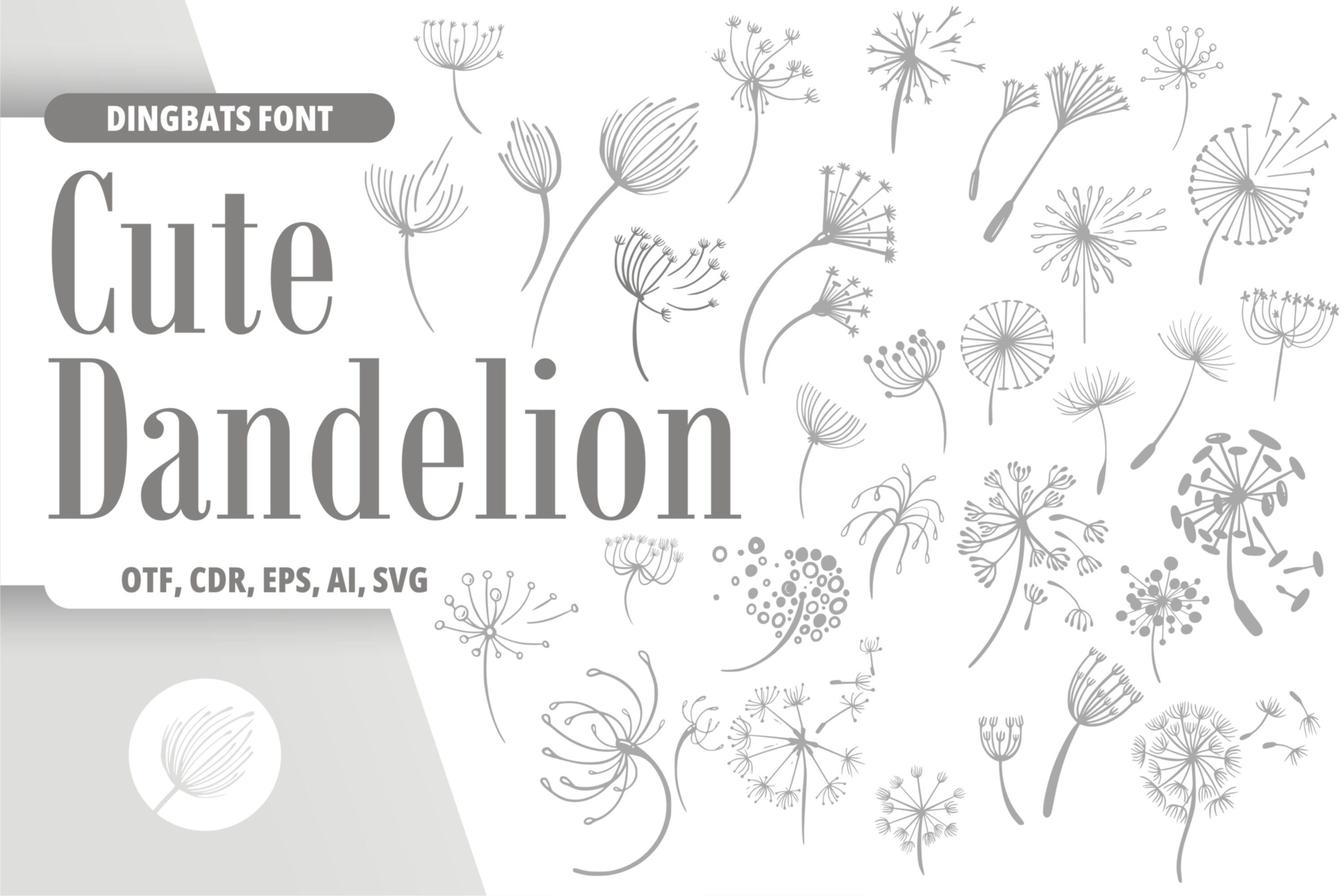 Cute Dandelion