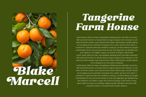 Heigan Font - Preview 4