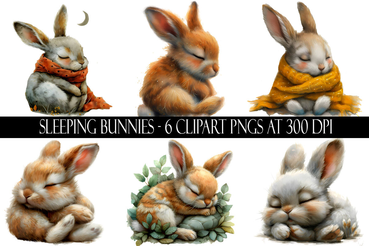 Sleeping Bunny Clipart Graphic by Digital Paper Packs · Creative Fabrica