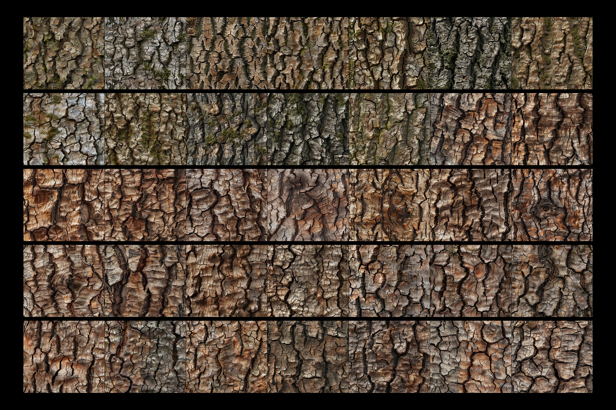 100+ Procreate Wood Tree Bark Brushes - photo 5