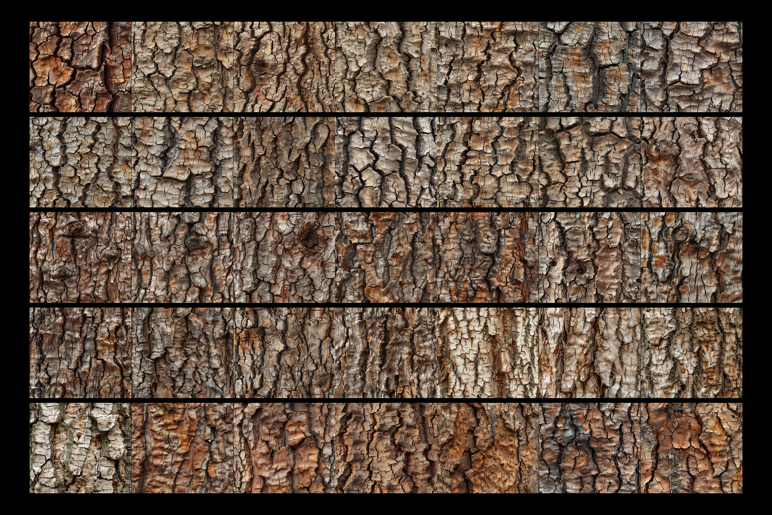 100+ Procreate Wood Tree Bark Brushes - photo 6