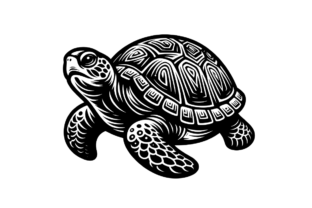 Turtle Creative Art Code SVG Turtles Bundle, Marine Life Art PNG Graphic by Artful Assetsy ...
