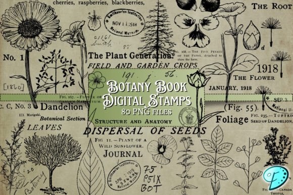 Botany Book Digi Stamps Transparent PNGs