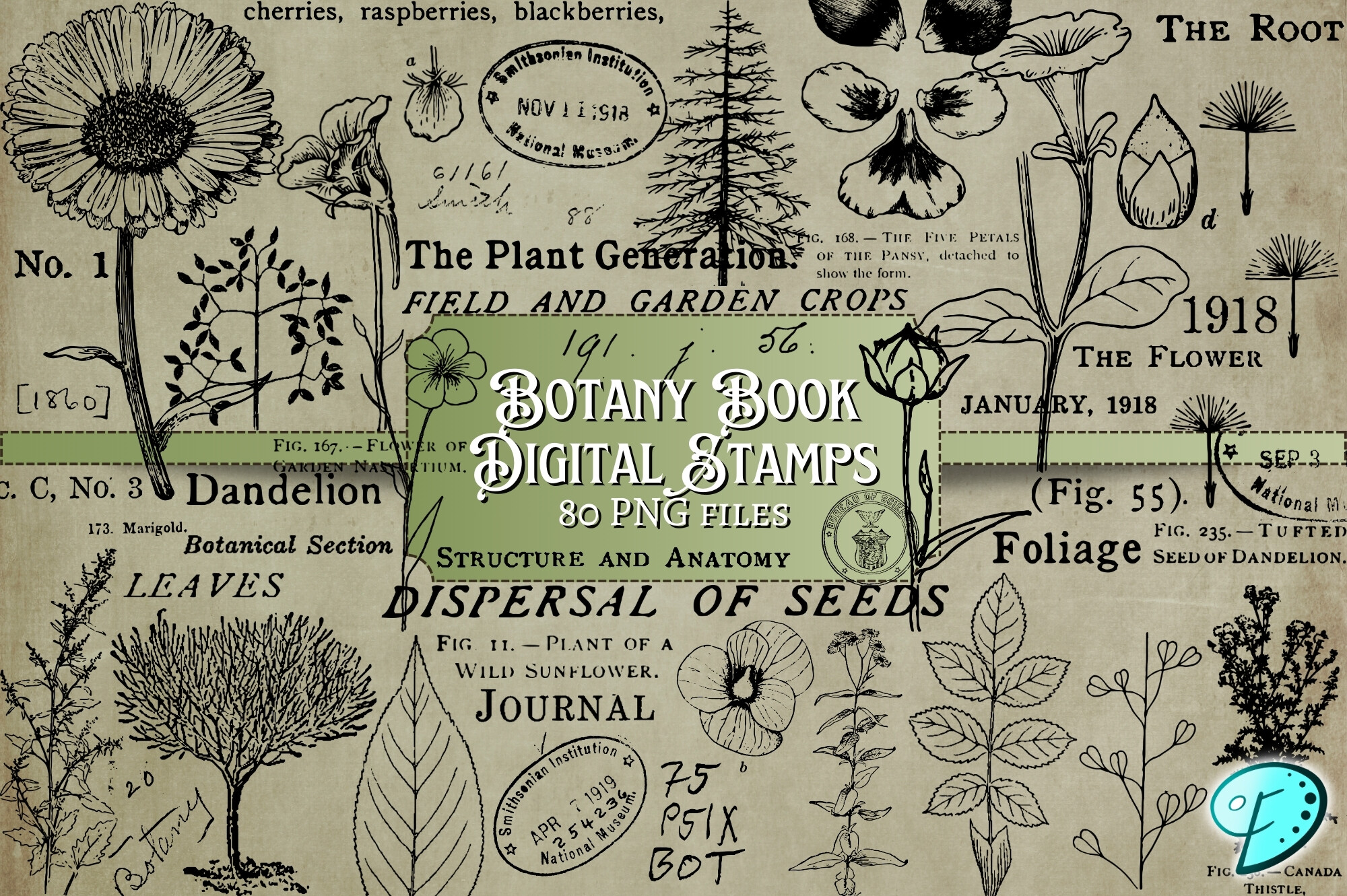 Botany Book Digi Stamps Transparent PNGs