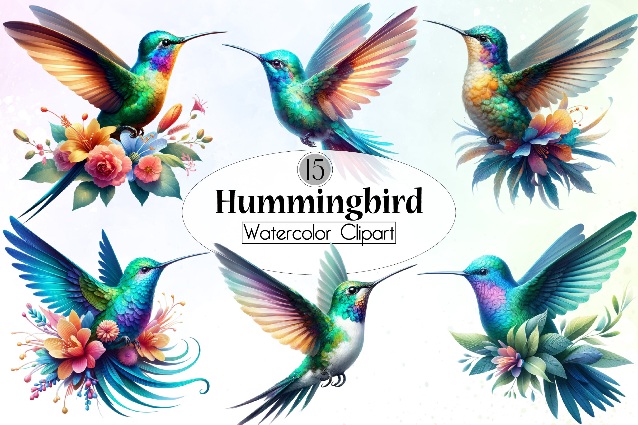 Hummingbird Watercolor Clipart