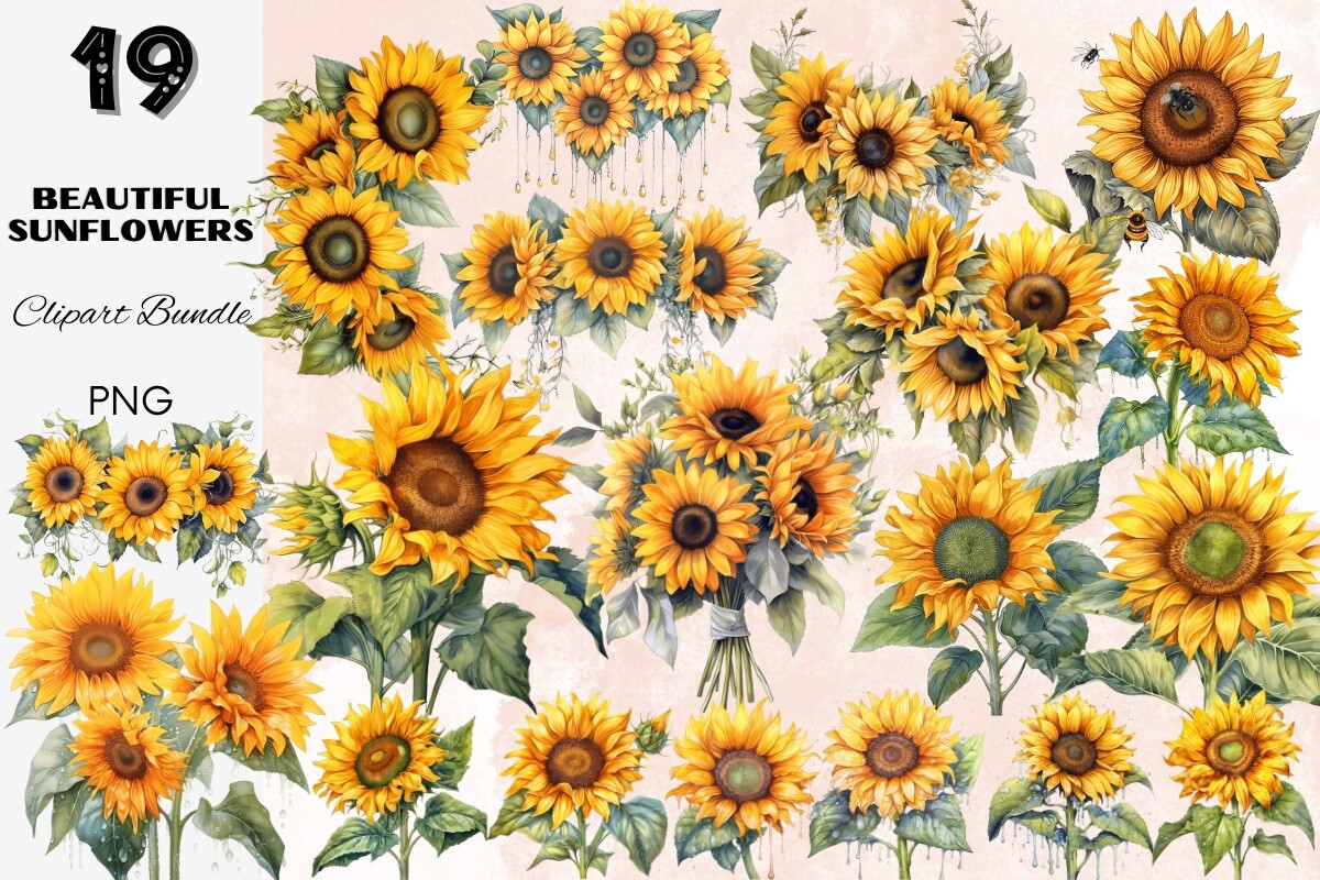 Sunflower Summer Sun Flower Sunflowers