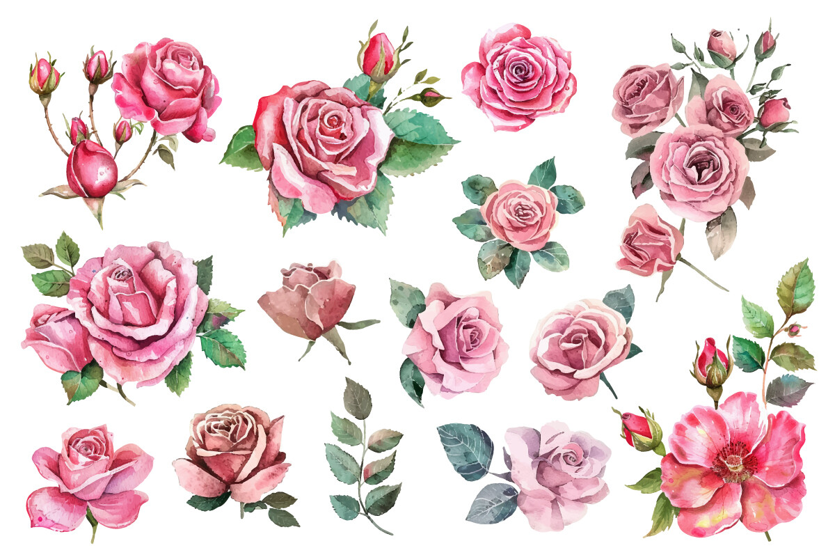 Watercolor Pink Rose Bouquet Graphic by Nayem Khan · Creative Fabrica