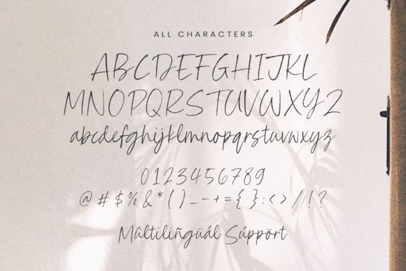 Charlotte Signature Font - Preview 5
