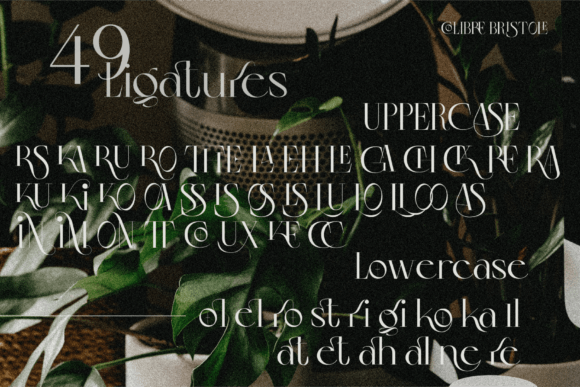 Colibre Bristole Pro Font - Preview 3
