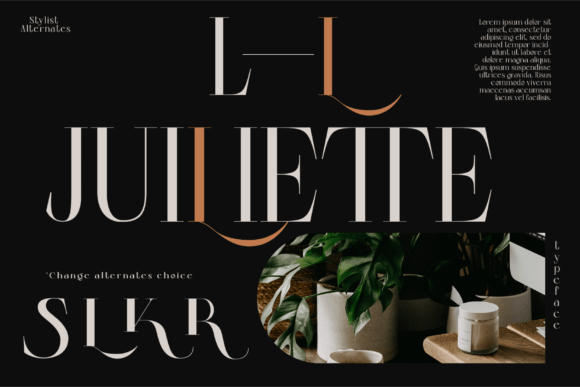 Colibre Bristole Pro Font - Preview 4