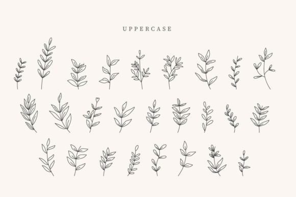 Flowers Leaves Font PNG with transparent background - Preview 1