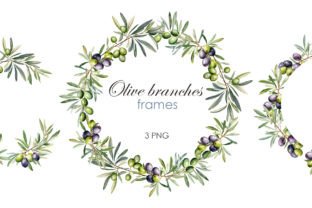Watercolor Olive Branches Frames PNG Graphic by lesyaskripak.art ...