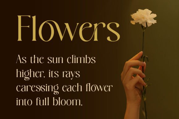 Bowtaris Font - Preview 5