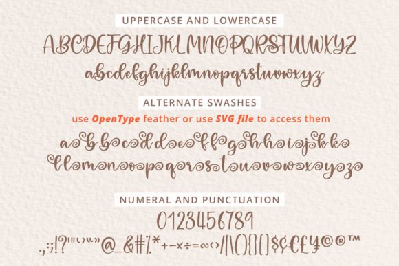 Farmhouse Flourish Font - Preview 1