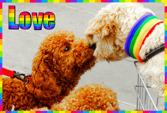 Pride Month Font PNG with transparent background - Preview 5