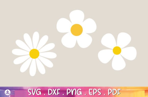 Daisy Flower Svg Daisy Flower PNG, Grafik Plotterdateien Von PixelTemplix