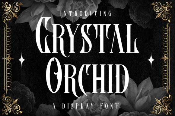 Crystal Orchid