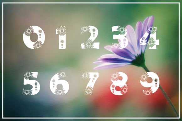 Daisy Font - Preview 2
