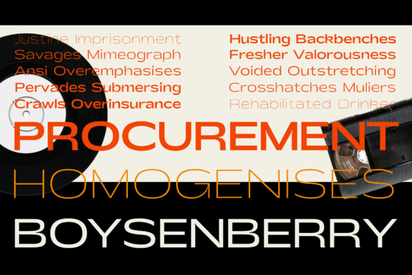 Shinko Sans Font font preview - 3