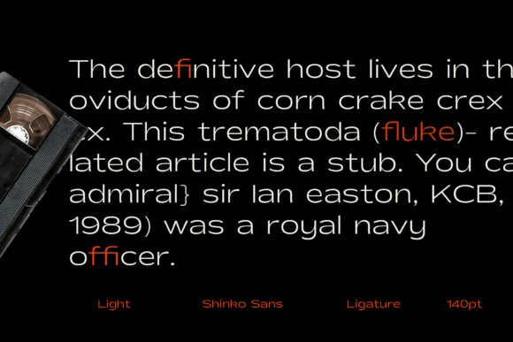 Shinko Sans Font font preview - 5