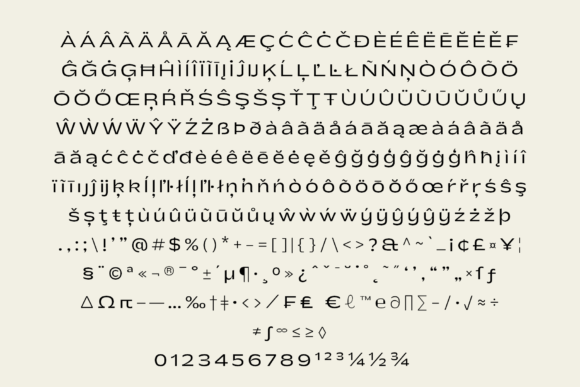 Shinko Sans Font font preview - 6