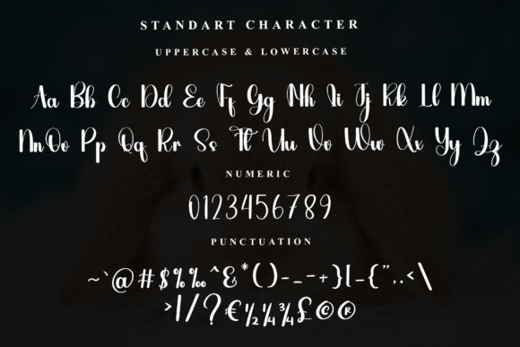 Amelia Font - Preview 4