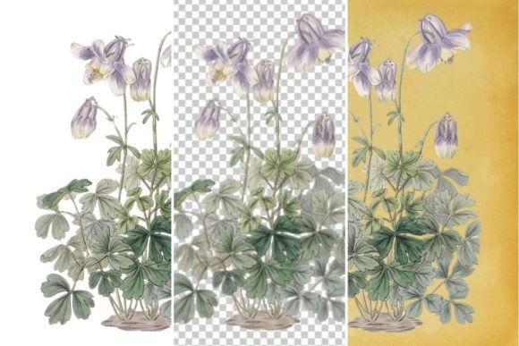 Vintage Floral Wall Art Printable 7