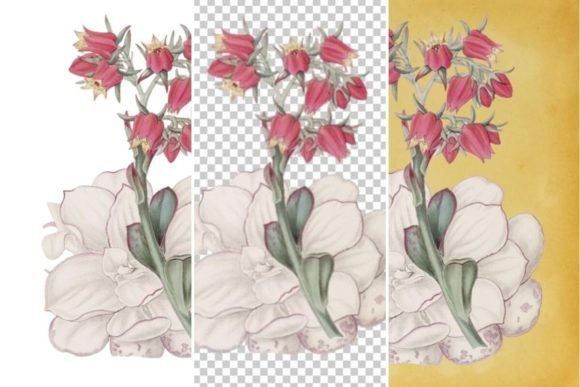 Vintage Flower Wall Art Printable 4