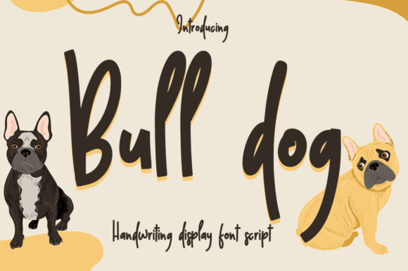 Cute and Funny Handwritten Font Bundle Bundle · Creative Fabrica