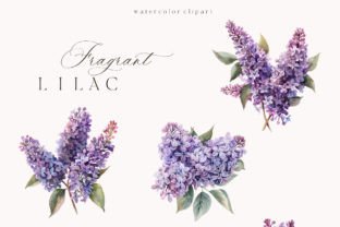 Watercolor Lilac Flowers Clipart PNG Graphic by Madiwaso · Creative Fabrica