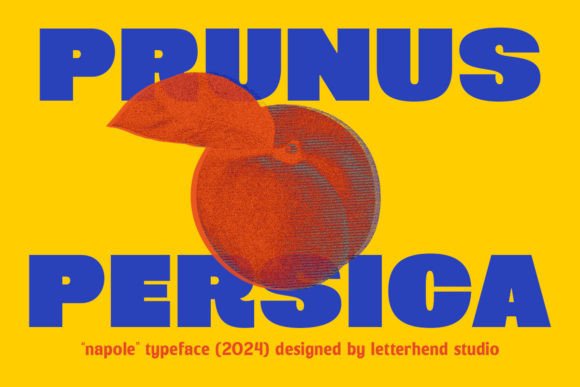Napole Font PNG with transparent background - Preview 2