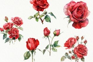 Watercolor Red Roses Clipart Graphic by NiftyCraftyHouse · Creative Fabrica