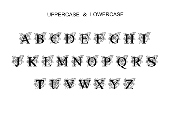 Gerbera Font PNG with transparent background - Preview 1