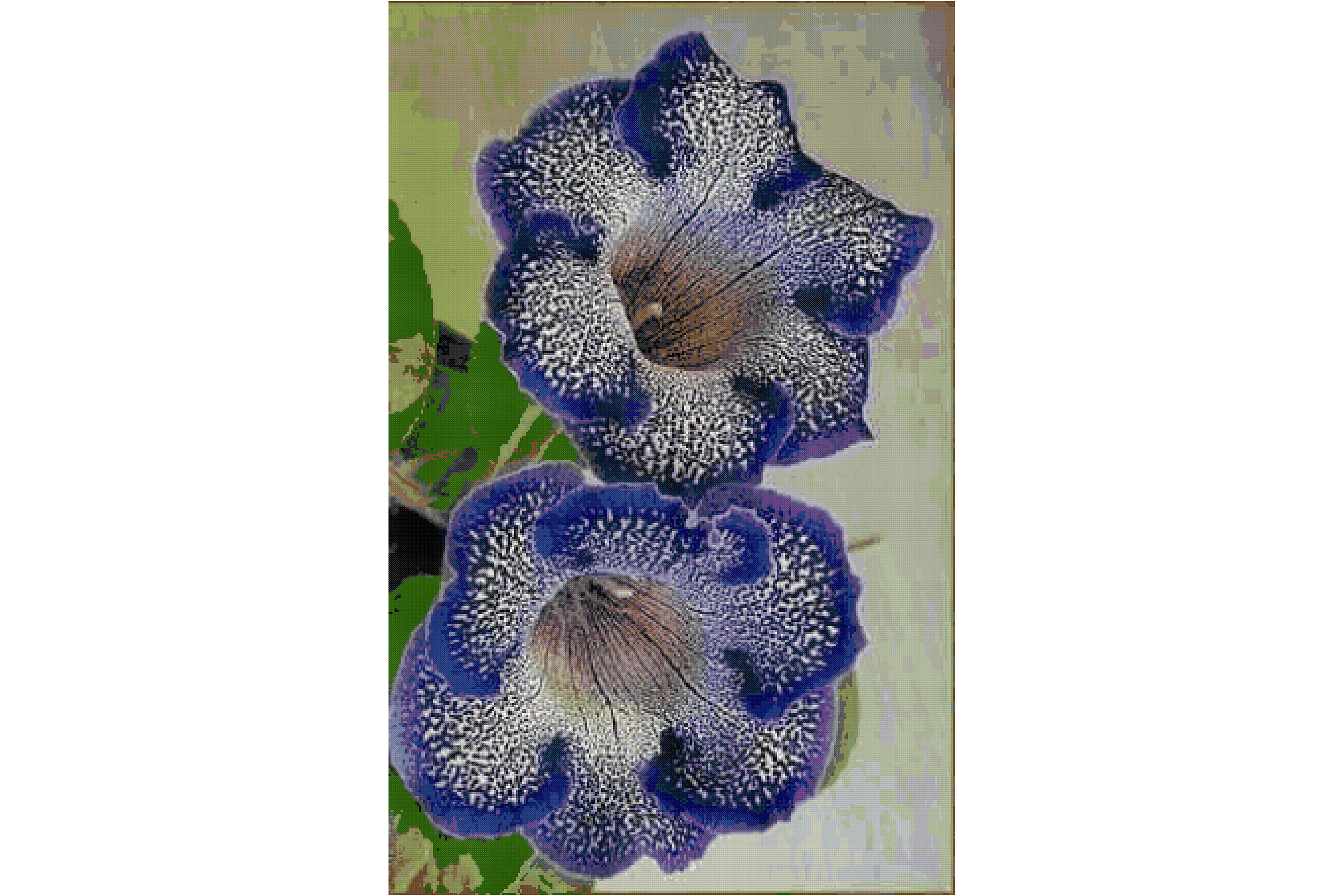 Flowers Counted Cross Stitch Patterns