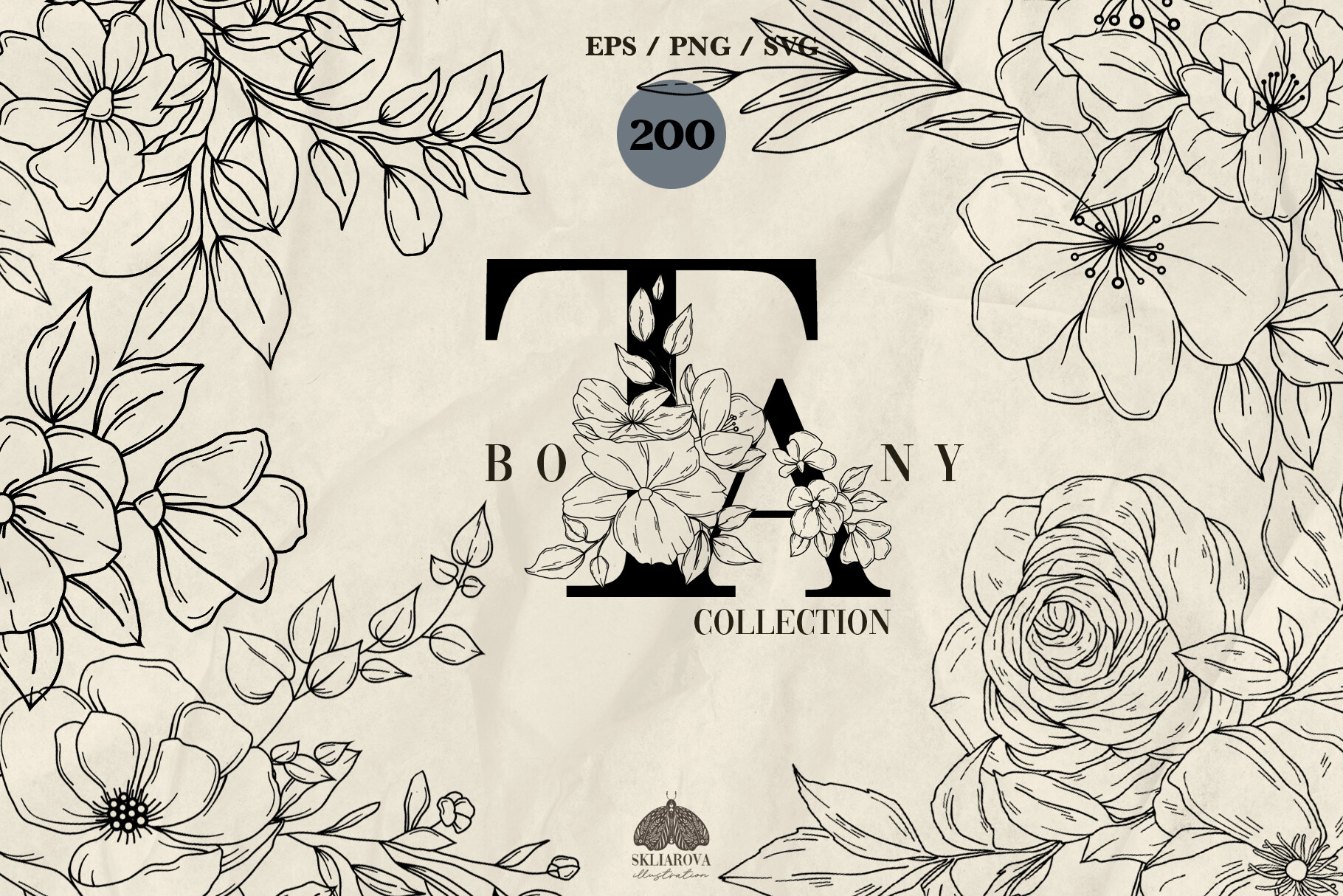 Botany Line Art Collection Graphic by HappyWatercolorShop · Creative ...