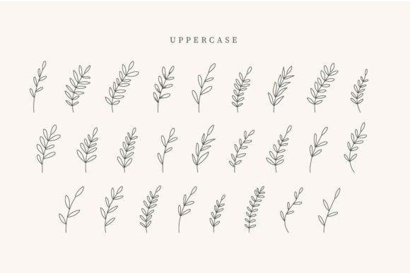 Coffe Leaves Font - Preview 1