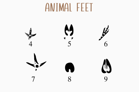 Animal Feet Font - Preview 3