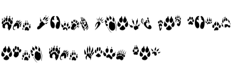 Animal Feet Font by Nongyao · Creative Fabrica