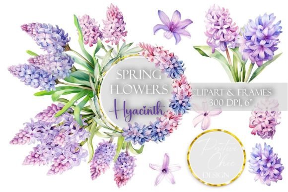 Hyacinth Clipart Spring Flowers Clip Art Graphic Illustrations By PositiveChic