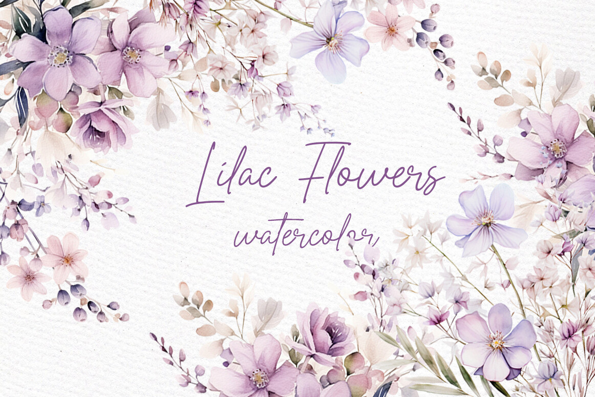 Watercolor Lilac Flowers Png Lilac Png