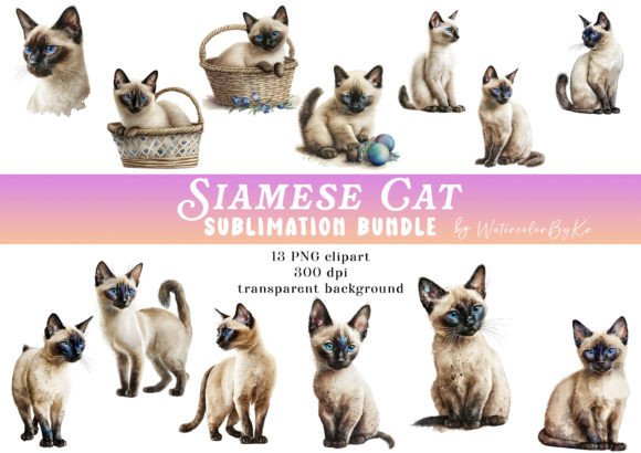 Watercolor Siamese Cat Bundle Clipart Grafika Rękodzieła Przez WatercolorByKr