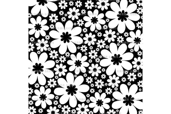 Black & White Daisy Flowers Background
