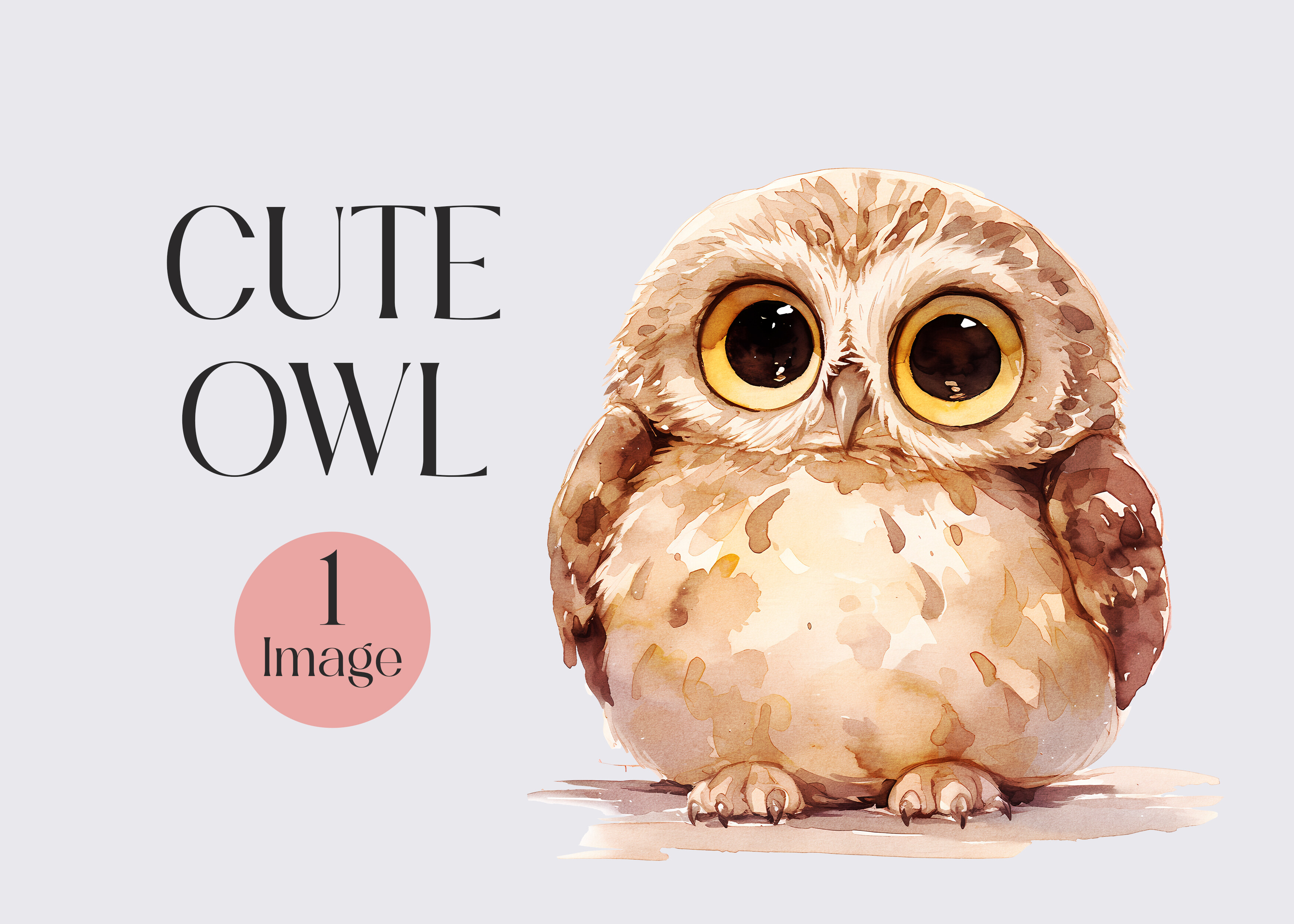 Watercolor Cute Owl Clipart Graphic by primroseblume · Creative Fabrica