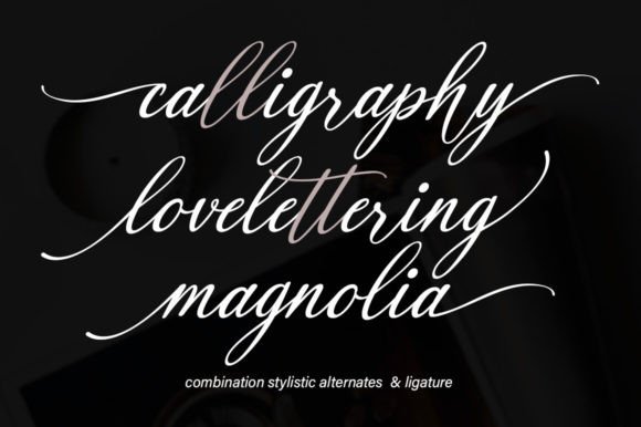 Black Paris Font - Preview 3