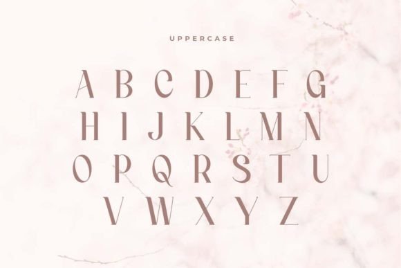 Hannah Font - Preview 5