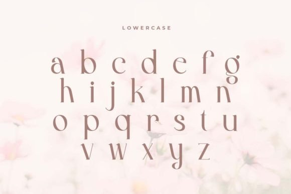 Hannah Font - Preview 6