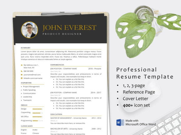 Professional CV Resume Template Word