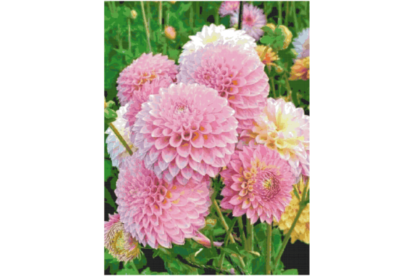 Flowers Counted Cross Stitch Patterns