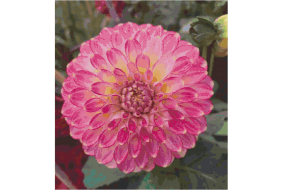 Flowers Counted Cross Stitch Patterns